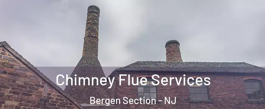 Chimney Flue Services Bergen Section - NJ