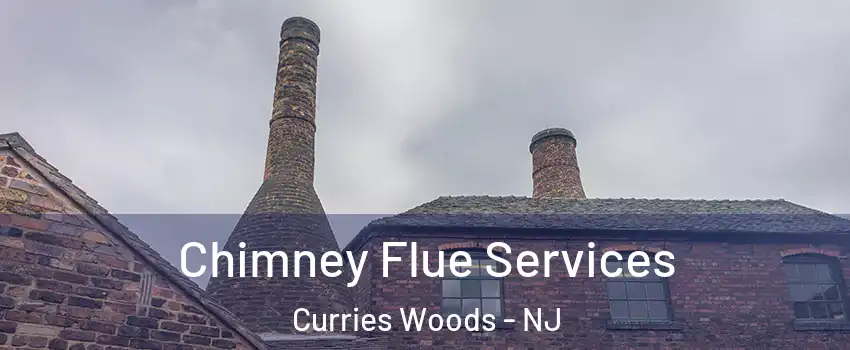 Chimney Flue Services Curries Woods - NJ