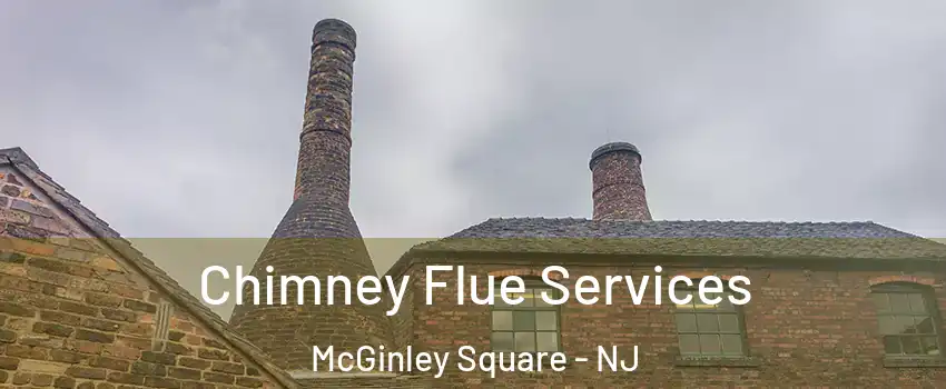 Chimney Flue Services McGinley Square - NJ