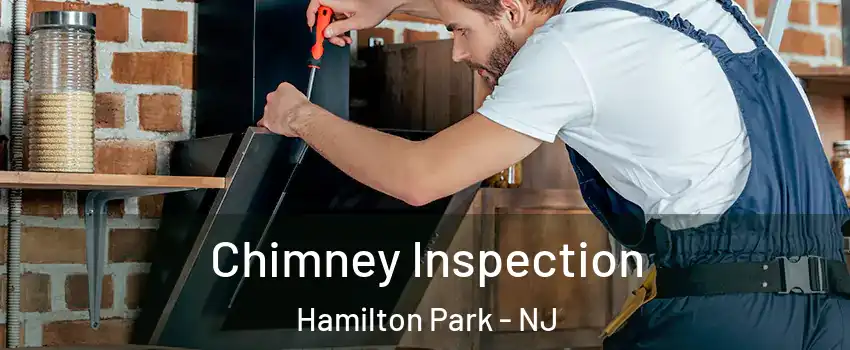 Chimney Inspection Hamilton Park - NJ