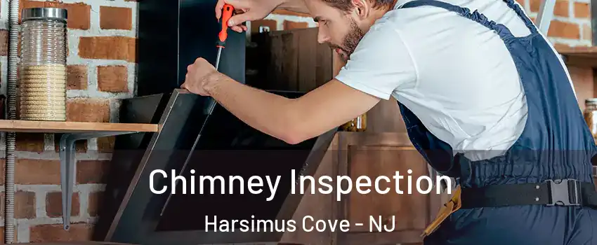Chimney Inspection Harsimus Cove - NJ