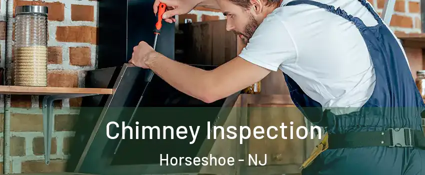 Chimney Inspection Horseshoe - NJ