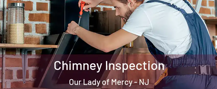 Chimney Inspection Our Lady of Mercy - NJ