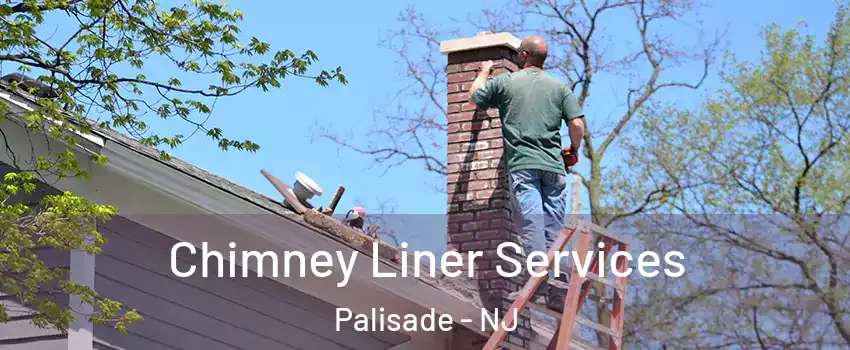 Chimney Liner Services Palisade - NJ