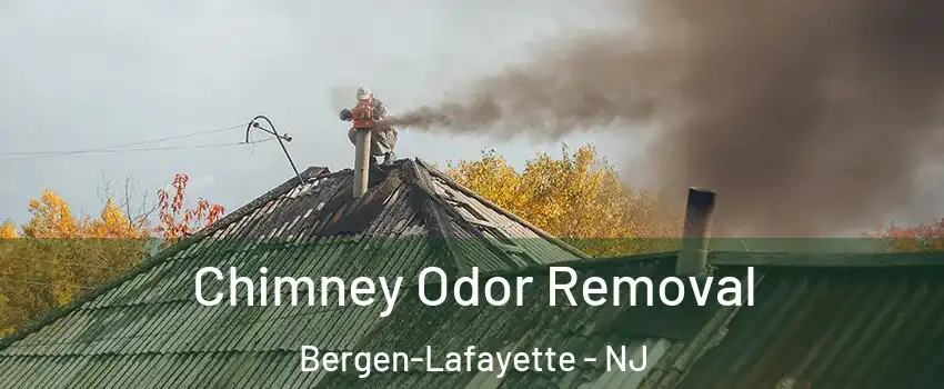 Chimney Odor Removal Bergen-Lafayette - NJ