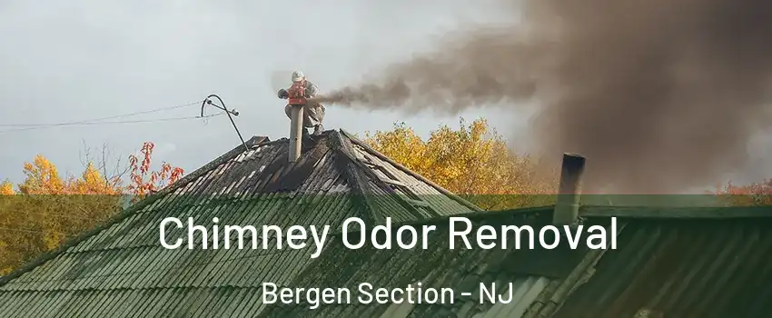 Chimney Odor Removal Bergen Section - NJ