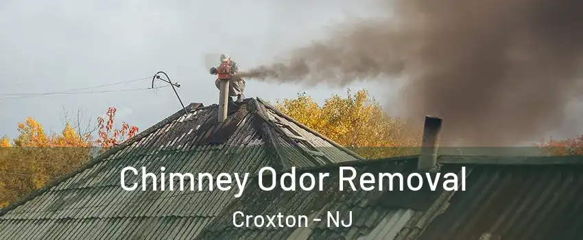 Chimney Odor Removal Croxton - NJ