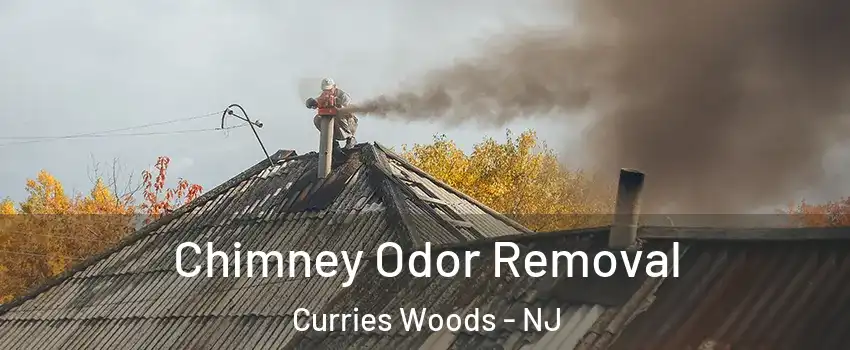 Chimney Odor Removal Curries Woods - NJ