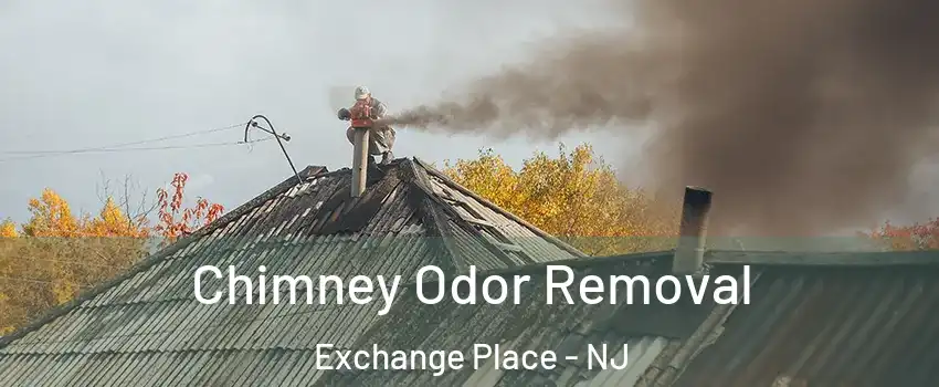 Chimney Odor Removal Exchange Place - NJ