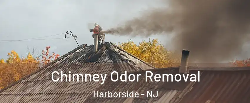 Chimney Odor Removal Harborside - NJ