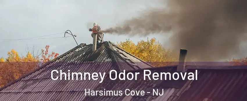 Chimney Odor Removal Harsimus Cove - NJ