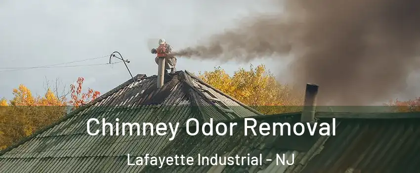 Chimney Odor Removal Lafayette Industrial - NJ