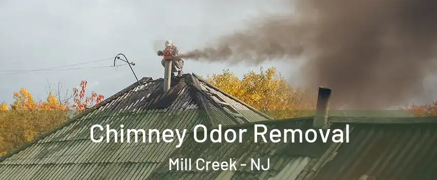 Chimney Odor Removal Mill Creek - NJ