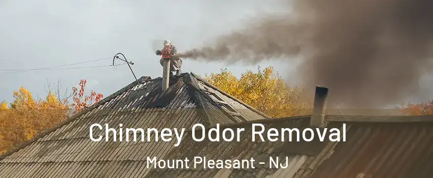 Chimney Odor Removal Mount Pleasant - NJ