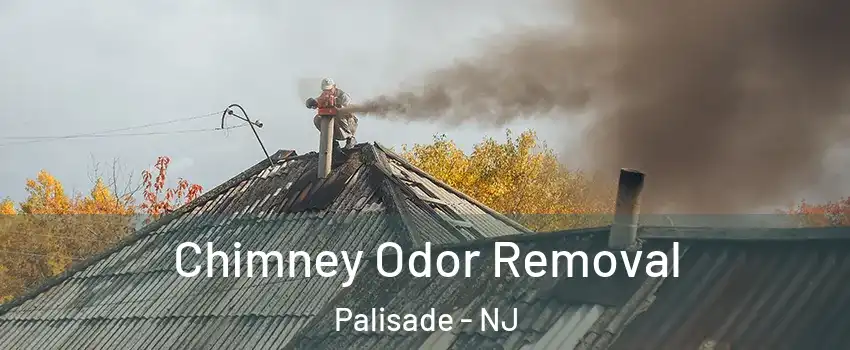 Chimney Odor Removal Palisade - NJ