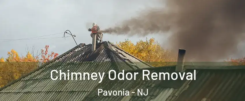Chimney Odor Removal Pavonia - NJ