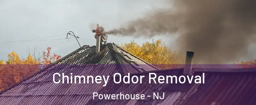 Chimney Odor Removal Powerhouse - NJ