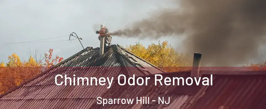 Chimney Odor Removal Sparrow Hill - NJ