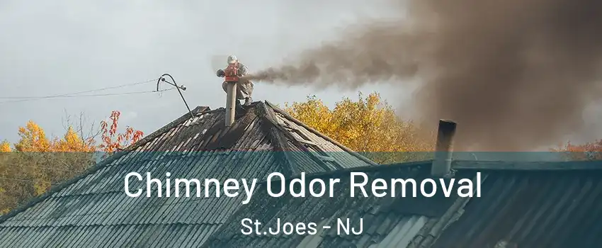 Chimney Odor Removal St.Joes - NJ