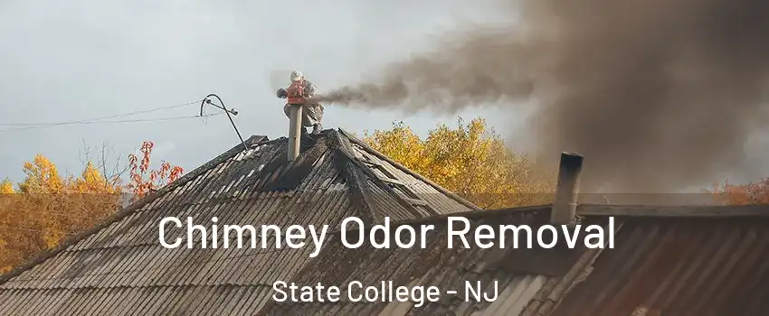 Chimney Odor Removal State College - NJ