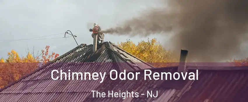 Chimney Odor Removal The Heights - NJ