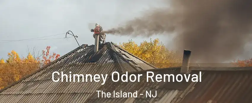 Chimney Odor Removal The Island - NJ