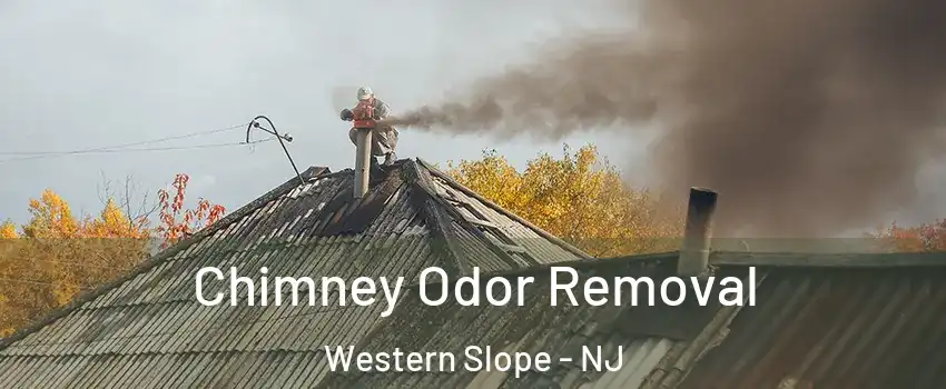 Chimney Odor Removal Western Slope - NJ