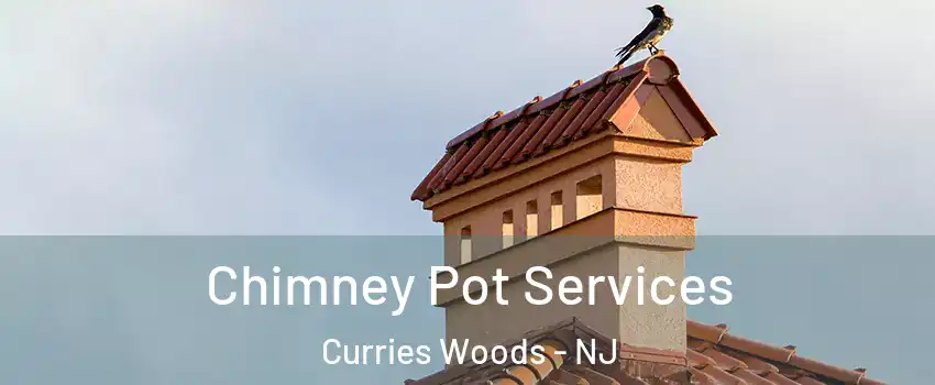 Chimney Pot Services Curries Woods - NJ
