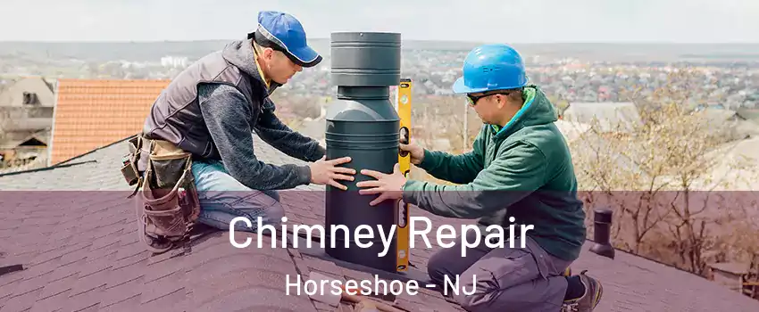 Chimney Repair Horseshoe - NJ