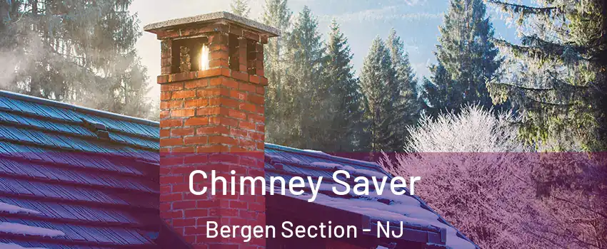 Chimney Saver Bergen Section - NJ