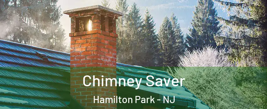 Chimney Saver Hamilton Park - NJ