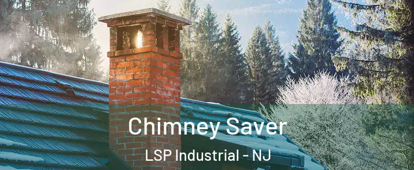 Chimney Saver LSP Industrial - NJ