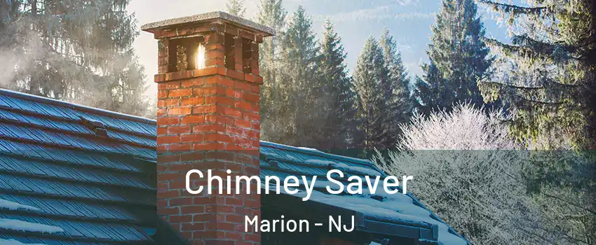 Chimney Saver Marion - NJ