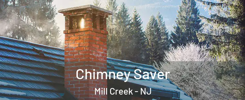 Chimney Saver Mill Creek - NJ