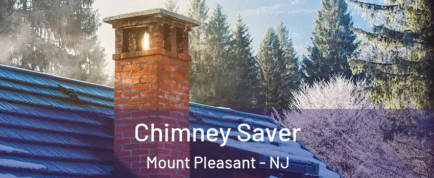Chimney Saver Mount Pleasant - NJ