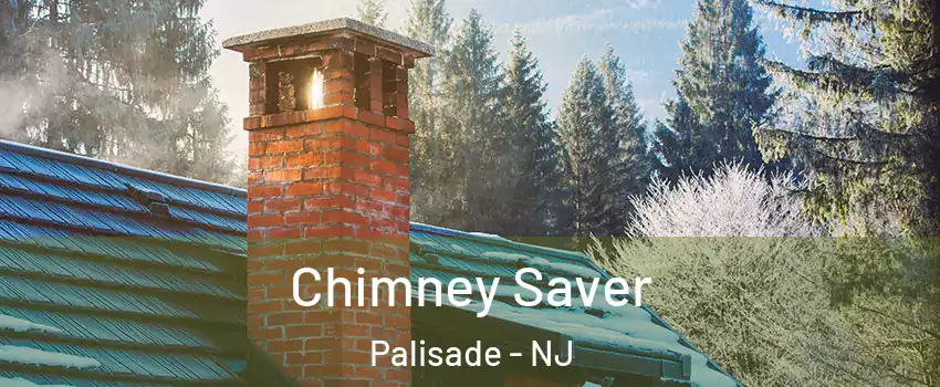 Chimney Saver Palisade - NJ
