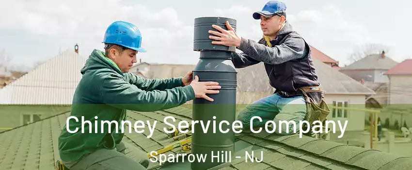 Chimney Service Company Sparrow Hill - NJ