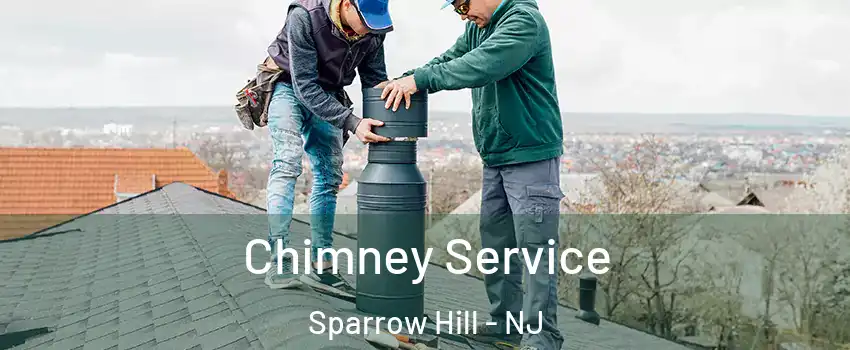 Chimney Service Sparrow Hill - NJ