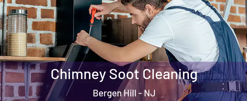 Chimney Soot Cleaning Bergen Hill - NJ
