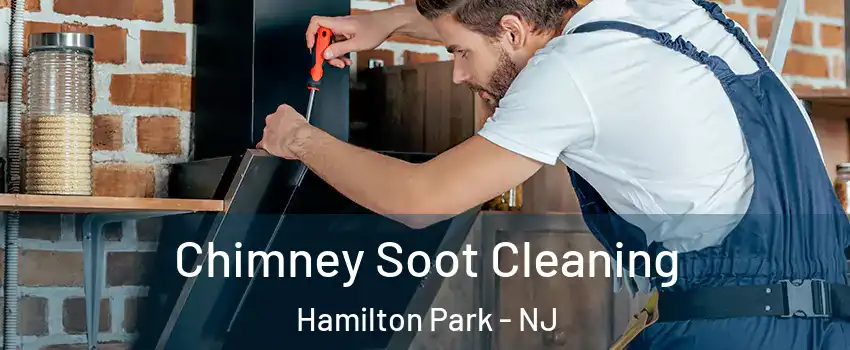 Chimney Soot Cleaning Hamilton Park - NJ