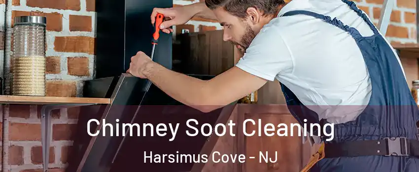 Chimney Soot Cleaning Harsimus Cove - NJ