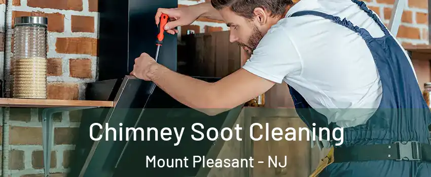 Chimney Soot Cleaning Mount Pleasant - NJ