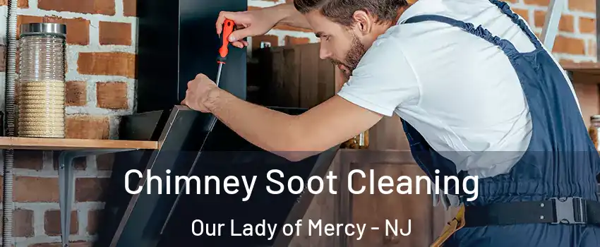 Chimney Soot Cleaning Our Lady of Mercy - NJ