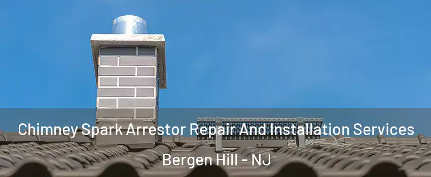 Chimney Spark Arrestor Repair And Installation Services Bergen Hill - NJ