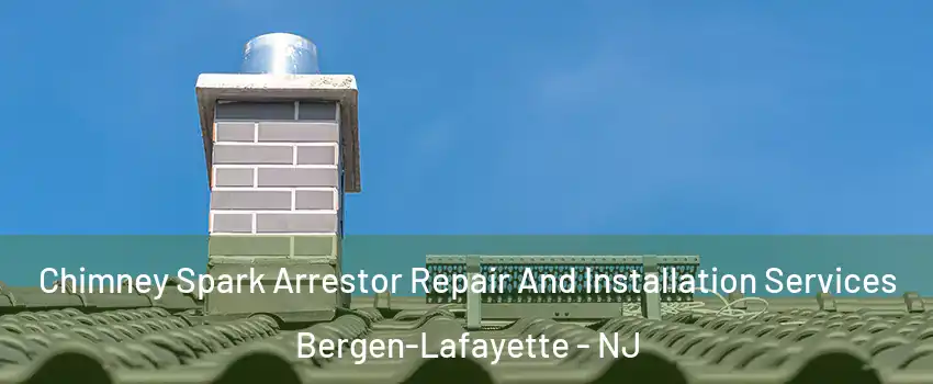 Chimney Spark Arrestor Repair And Installation Services Bergen-Lafayette - NJ