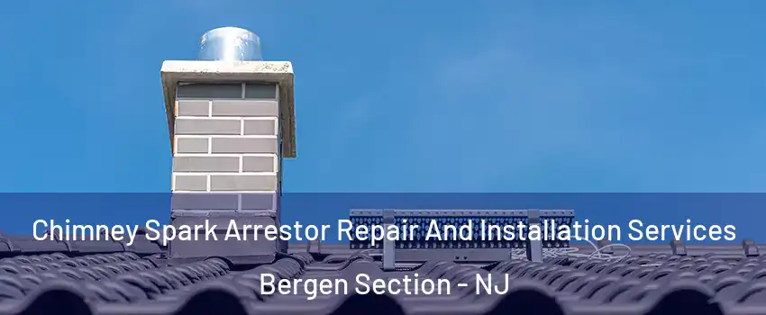 Chimney Spark Arrestor Repair And Installation Services Bergen Section - NJ