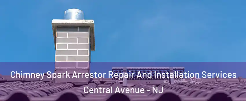 Chimney Spark Arrestor Repair And Installation Services Central Avenue - NJ