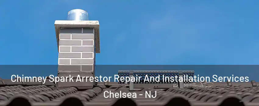 Chimney Spark Arrestor Repair And Installation Services Chelsea - NJ