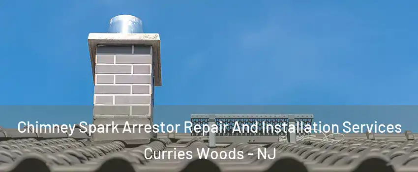 Chimney Spark Arrestor Repair And Installation Services Curries Woods - NJ