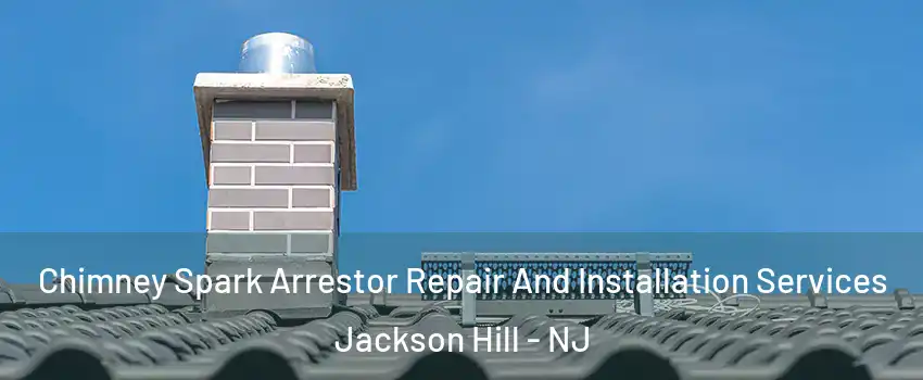 Chimney Spark Arrestor Repair And Installation Services Jackson Hill - NJ